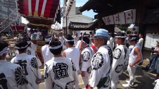 2017 撮って出し 貝塚宮夏祭り 本宮 感田神社宮入漆番:南町