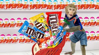 Baby Monkey Bim Bim go buy M&M candy and Yummy Kinder Surprise Egg Toys Opening and plays with Puppy