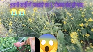 Daily Farming Vlogs Village Farming Vlogs Village Farming Video Indian Farming New Vlog  Vlogging