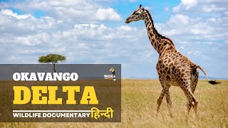 Wildlife documentary in hindi - Okavango Delta । हिन्दी डॉक्यूमेंट्री, Wild animals in Africa