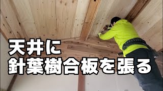 ゲストハウスＤＩＹ／針葉樹合板で天井を張る【前編】／鳥取県岩美町で田舎暮らし