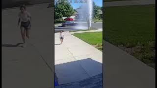 The day a fire hydrant scared everyone 😅💧 #shorts #viral #corgi