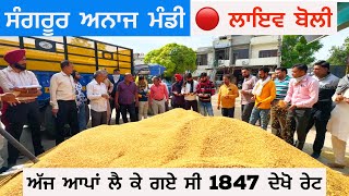 basmati rate in punjab today | 1847 basmati price | 1509 paddy price today in Sangrur punjab