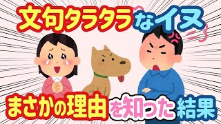 【2ch ほっこり】犬が家族旅行中に文句を言う→夫「じゃあ帰れ」と言ったが、その理由が判明して   【総集編】