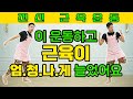 이 운동하고 근육량 엄청 많이 늘었어요 (feat.무릎통증 없이 근력운동하기)