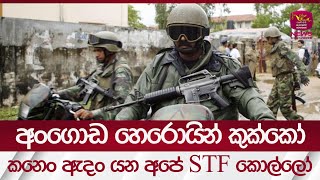 අංගොඩ හෙරොයින් කුක්කෝ කනෙං ඇදං යන අපේ STF කොල්ලෝ | Rupavahini News