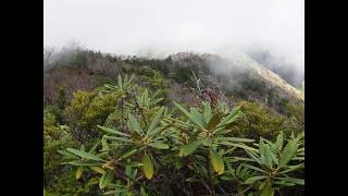 あいうえ おっさん ぶらり旅 珍道中 庚申山編