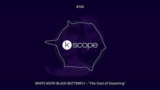 Podcast 134 - White Moth Black Butterfly 'The Cost of Dreaming'