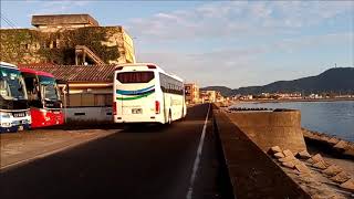 観光バス 秋の指宿路を走る走る 4 Sightseeing Bus runs The Ibusuki Road in Fall #4