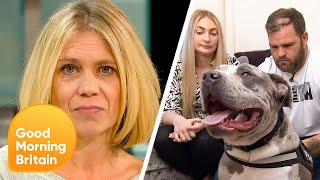 Don't Ban My Beloved Bully! - Calls To Cull The Breed Met With Resistance | Good Morning Britain