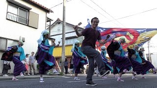 「よさこい鳴子連 今日一屋」ろっけん通りおどりん祭 2016 旭会場