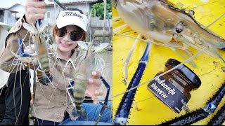 วิธีตกกุ้งก้ามกราม แม่น้ำบางปะกง Prawn fishing in Bang Pakong River by MAYME fishingEZ