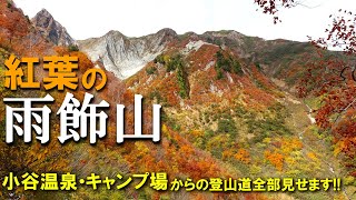 【登山体験】雨飾山、紅葉真っ盛りの百名山に登ってきた！／小谷温泉・雨飾高原キャンプ場からの登山道全部見せます！／2023/10