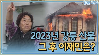 강릉 산불 2년, 그 후 이재민의 삶은? / MBC강원영동 250205 방송