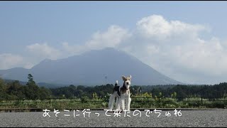 wirefox sakura-21 大山登山･伯耆富士