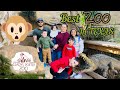 Best ZOO in Texas | Gladys Porter Zoo in Brownsville, TX #brownsvilletx