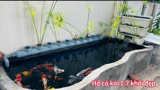 Hồ Cá Koi 1.7 Khối Tuyệt Đẹp - Nước Trong Vắt Như Nước Suối Cùng Xem Lọc Nhé.Hồ E Tuấn Ở Bình Thuận