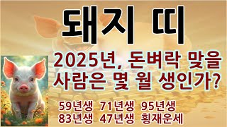 #돼지띠2025년초대박#돼지띠평생사주#을사년돼지띠돈벼락#돼지띠로또1등당첨#재물운세59년생#71년#83년#돼지띠로또1등평생번호#돼지띠신년운세#돼지띠애정운세#돼지띠대박나는날#돼지띠귀인