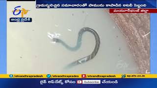 12 Feet Snake Rescued at Odisha | బావిలో పడిన 12 అడుగుల భారీ పాము