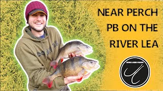 Perch Fishing | Near PB Perch on the River Lea