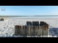 Pink Kuyalnik Estuary - Розовый Куяльницкий лиман