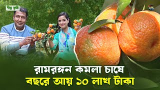 Deepto Krishi  | উচ্চ ফলনশীল রামরঙ্গন কমলা চাষে বছরে আয় ১০ লাখ টাকা | Ep 1626 | Deepto TV