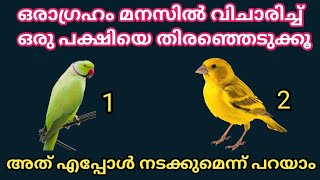 ഒരാഗ്രഹം മനസിൽ വിചാരിച്ച് ഒരു പക്ഷിയെ തിരഞ്ഞെടുക്കൂ അത് എപ്പോൾ നടക്കുമെന്ന് പറയാം