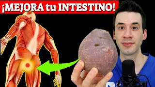 My Favorite Probiotics and Prebiotics | Improve Your Gut Health!