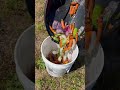 How to Start Composting