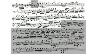 Variations Op.5 By Karol Józef Lipiński, arr. A. Wrobel (with Score)