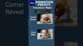 Corner Reveal and Clock Wipe Animation Presets in Adobe After Effects #adobeaftereffects