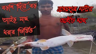 বড়শি দিয়ে বড় আইড় মাছ ধরার ভিডিও! ব্রহ্মপুত্র নদীর  আইড় মাছ ! Majarchar River fishing!!!