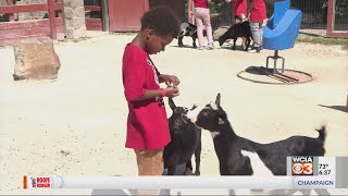 160 Decatur students spend day at the zoo, all rewarded for good behavior