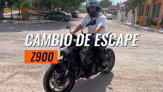 Sonido Austin Racing Z900 2024 🔥🔥