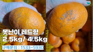 [신바람 농산물 협력농가 판매상품 1533-5930  (신선마켓.com)]못난이 레드향 2.5kg / 4.5kg 판매