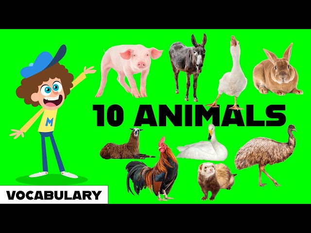 Animals Vocabulary Part 2 Learn English Kids Children 10 Animal
