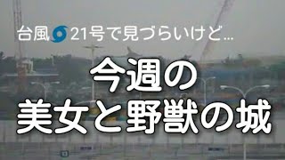 【リゾートラインから見る★美女と野獣の城予定地】東京ディズニーランド★New Fantasyland 大規模開発エリア工事状況★2017年10月21日