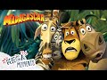 To the Wild! | Madagascar | Extended Preview | Mega Moments