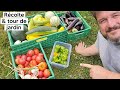 On fait ensemble le tour du potager et la récolte de la semaine