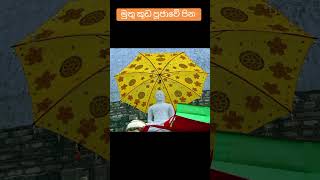 මුතු කුඩ පූජාවේ පින 🙏 🙏 🙏 |අනුසස් දැන ගන පිංකම් කරත්වා.... #motivation #quotes #buddha #love