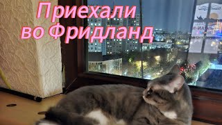 Мы приехали во Фридланд 18.11. Поздние переселенцы Германия