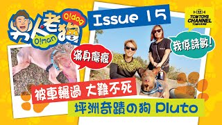 男人老狗  Issue 15 被車輾過 大難不死 坪洲奇蹟之狗 Pluto  (附中文字幕) 坪洲 狗狗領養 町町 柴犬 我們的唐狗故事