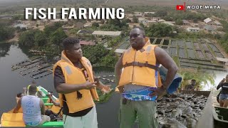 He Quit His Job And Established The Biggest Tilapia Farm In Ghana!