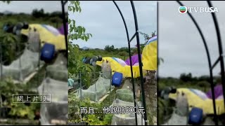 東張西望｜有市民玩滑翔傘偏離原定降落點，差點釀成事故!?