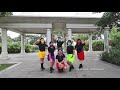 NEW BOSSA NOVA - Line Dance - Demo