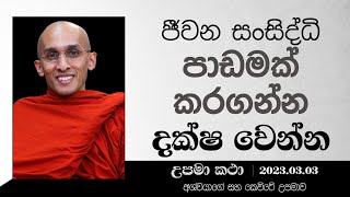 79) ජීවන සංසිද්ධි පාඩමක් කරගන්න දක්ෂ වෙන්න | (අශ්වයාගේ සහ කෙවිටේ උපමාව) | දහම් අරුතින් පිරි උපමා කතා