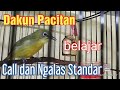 Pleci Dakun Pacitan belajar Call dan Ngalas