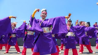 紀州龍神　おどるんや紀州よさこい祭り2016 くろしおステージ