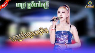 ពេជ្រ ស្រីពៅ // ស្នេហ៍ក្រោមម្លប់ជ្រៃ // សង់ទីម៉ងពិរោះៗ ២០២៥ //