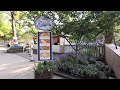 dollywood quick look at the summer celebration festival foods